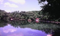 /album/hotel-villas-del-lago/img-20140626-093954-copia-2-jpg/